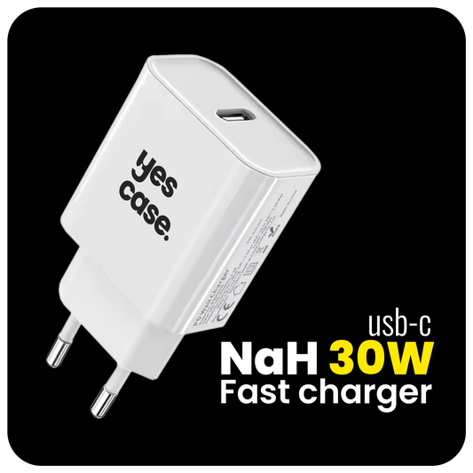 30W NaH Fast charger